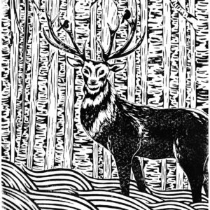 Carte postale - animaux de la forêt
