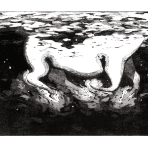 Cheval de la mer sur fond noir