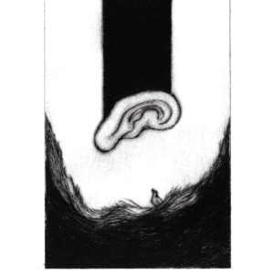L'oiseau