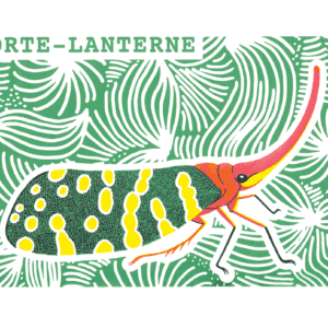Porte lanterne