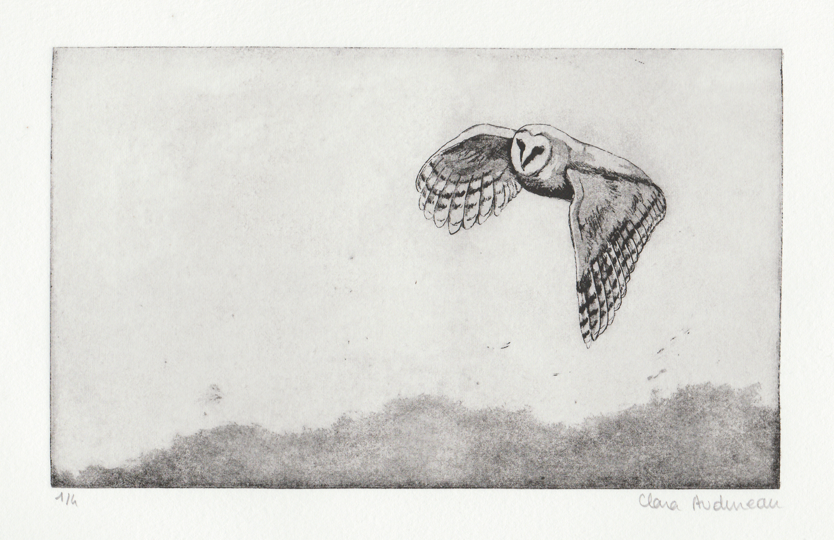 sans titre (chouette) – Image 2