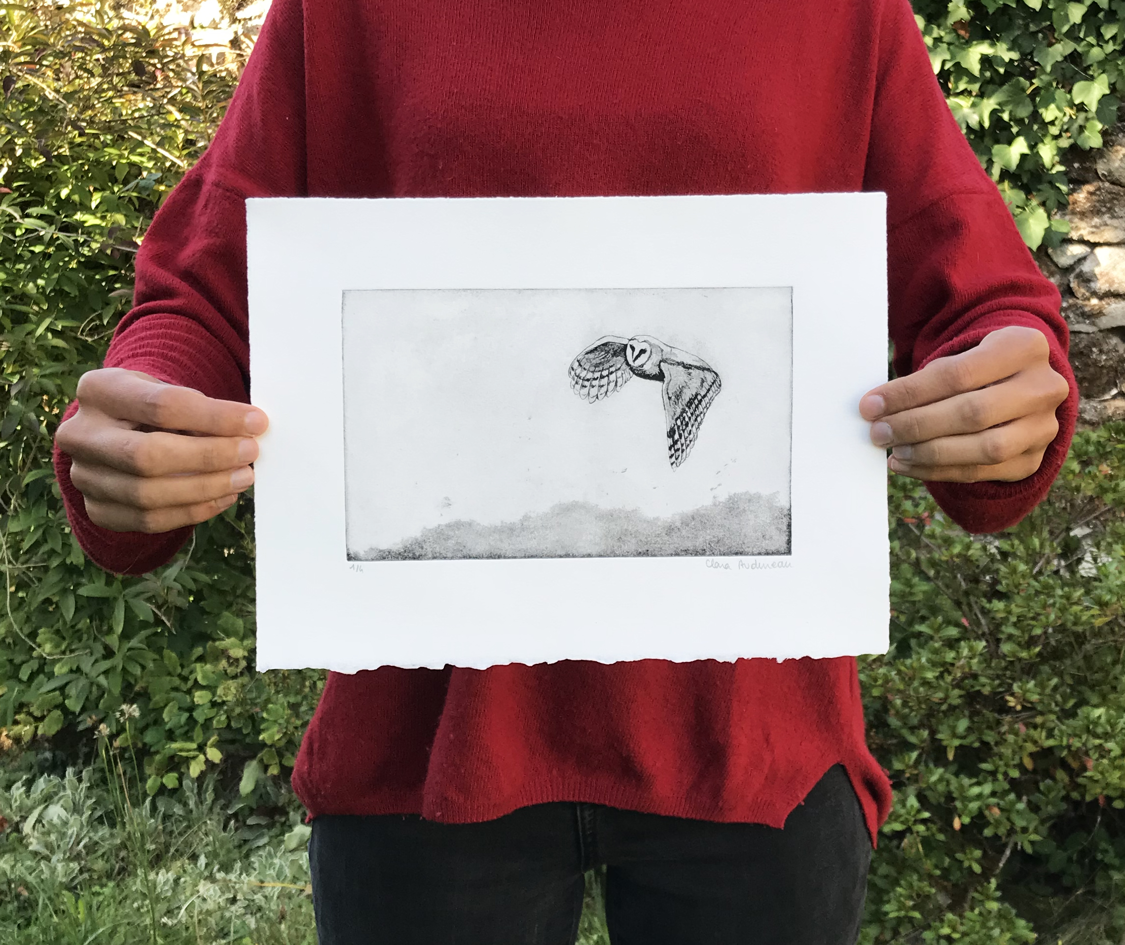 sans titre (chouette) – Image 3