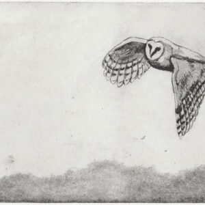 sans titre (chouette)