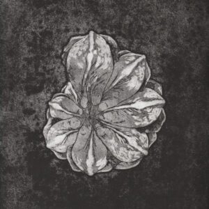 Vertige