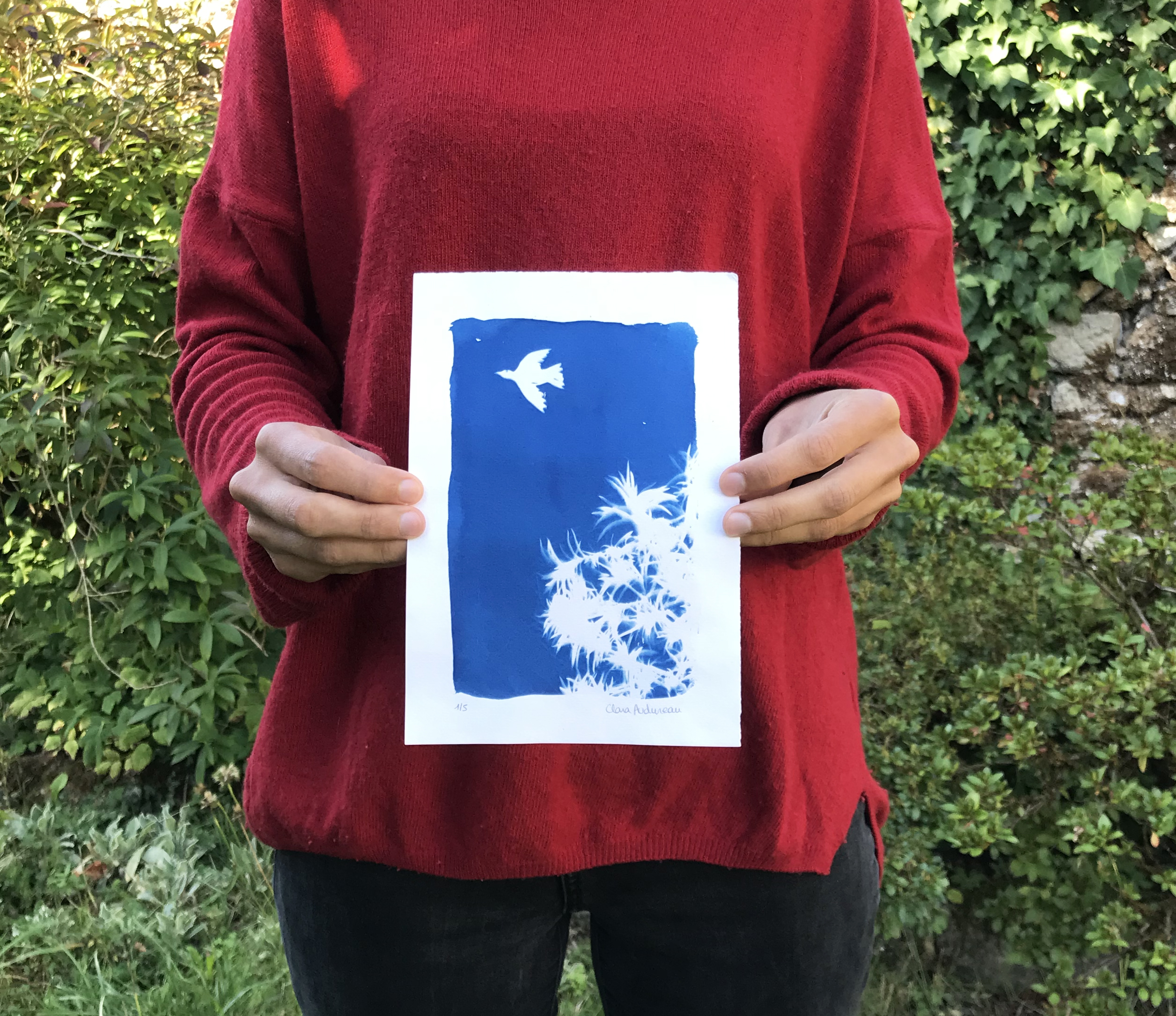 Oiseau – Image 3