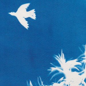 Oiseau