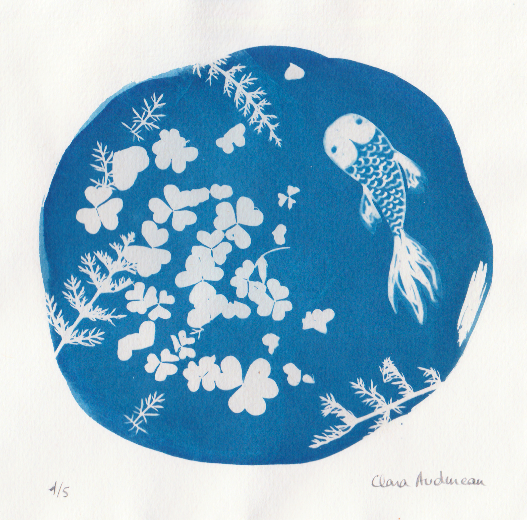 Poisson – Image 2