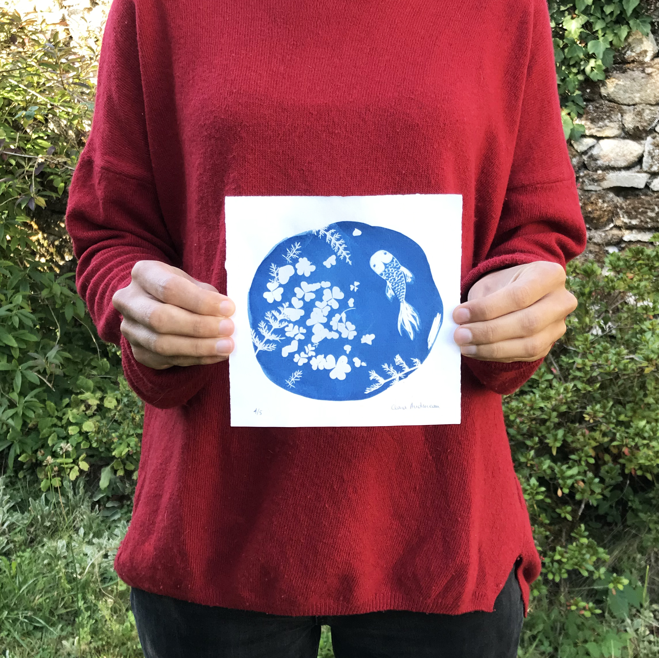 Poisson – Image 3